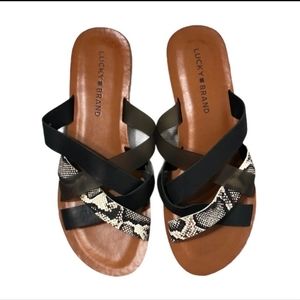 Lucky Brand Hallisa Strappy Sandals size 8